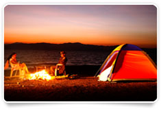Dandeli Nature Nest 