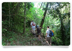 Dandeli Nature Nest 