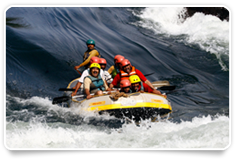 Dandeli Nature Nest 